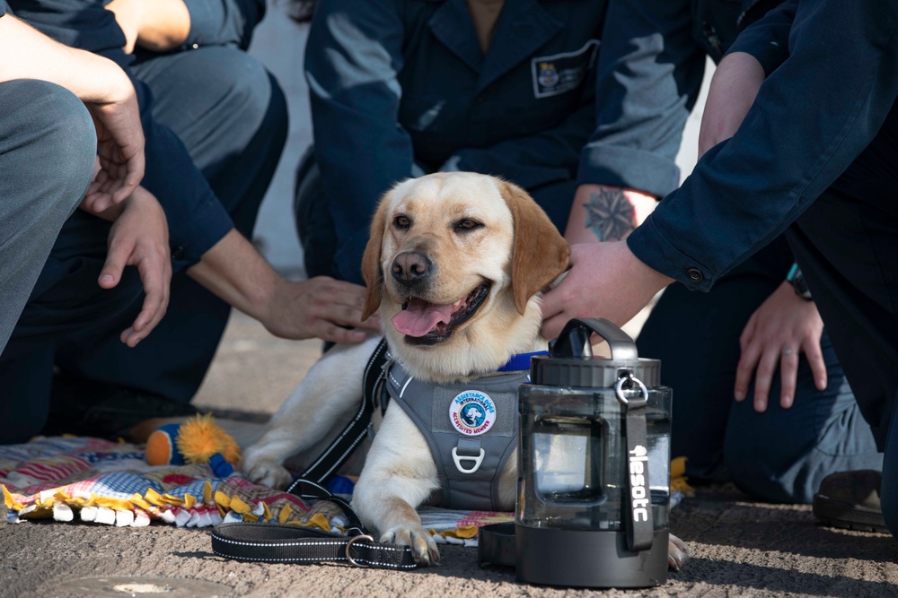 Ford Facility Dog Sage Visits USS Normandy