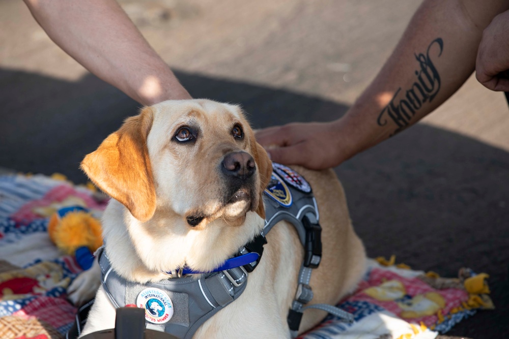 Ford Facility Dog Sage Visits USS Normandy