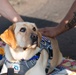 Ford Facility Dog Sage Visits USS Normandy