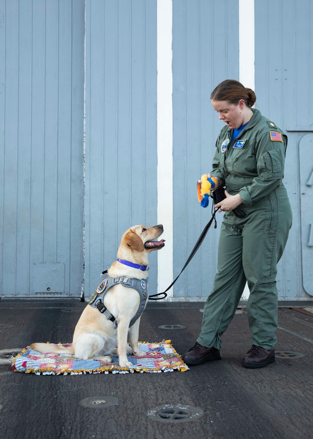 Ford Facility Dog Sage Visits USS Normandy