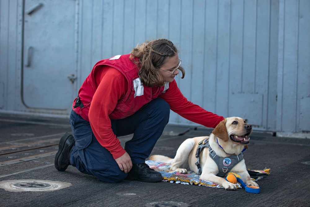 Ford Facility Dog Sage Visits USS Normandy