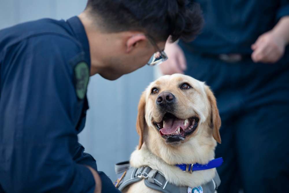 Ford Facility Dog Sage Visits USS Normandy