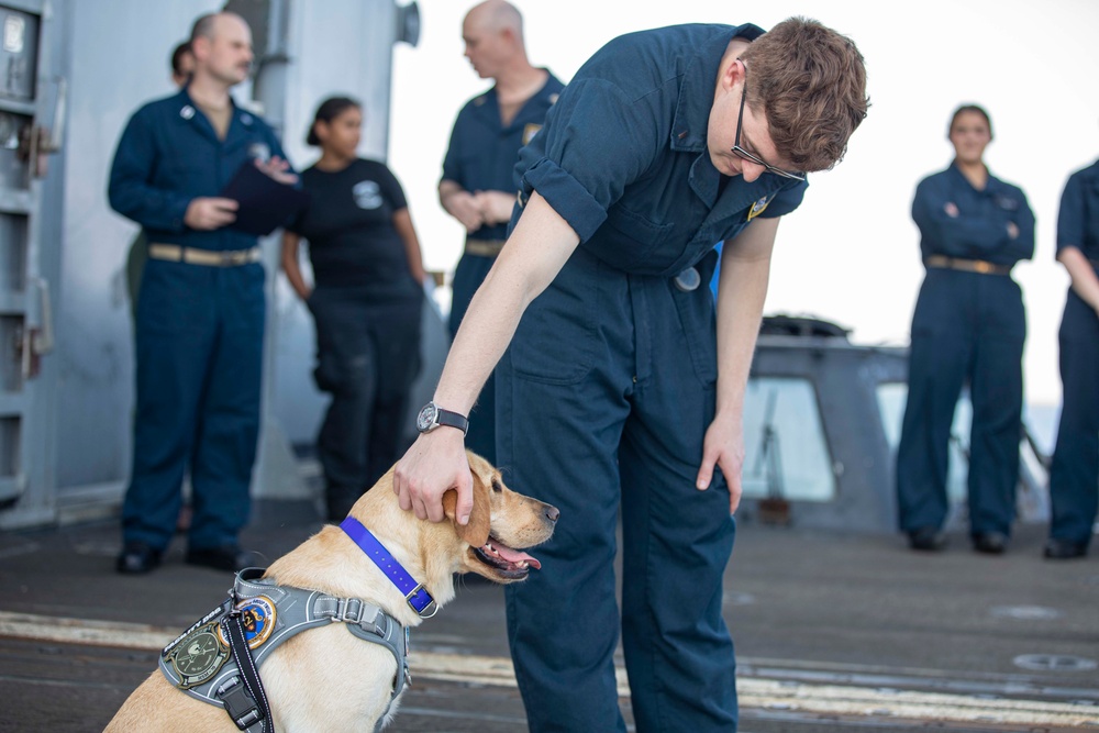 Ford Facility Dog Sage Visits USS Normandy