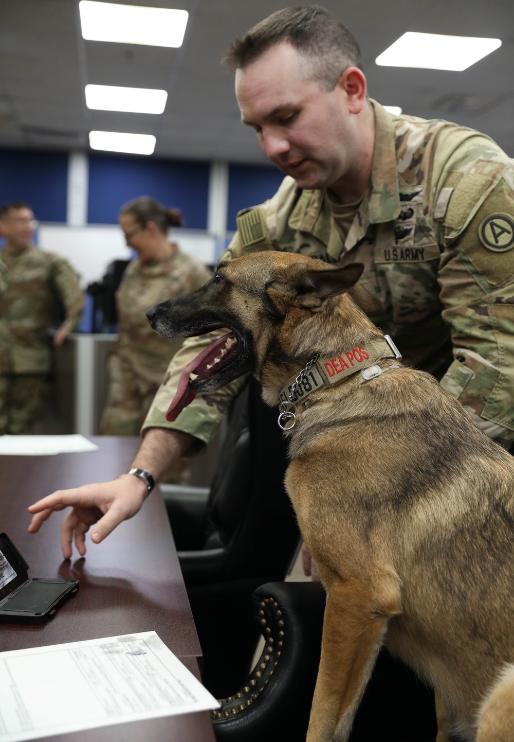 why do military dogs outrank their handlers