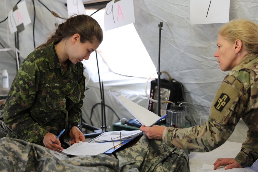 349th Field Hospital partners with medical units across the Army Reserve and partner Nations for Global Medic 91-23-01.