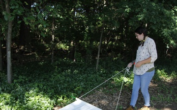 RAHC Environmental Health Techs Conduct Tick Drag