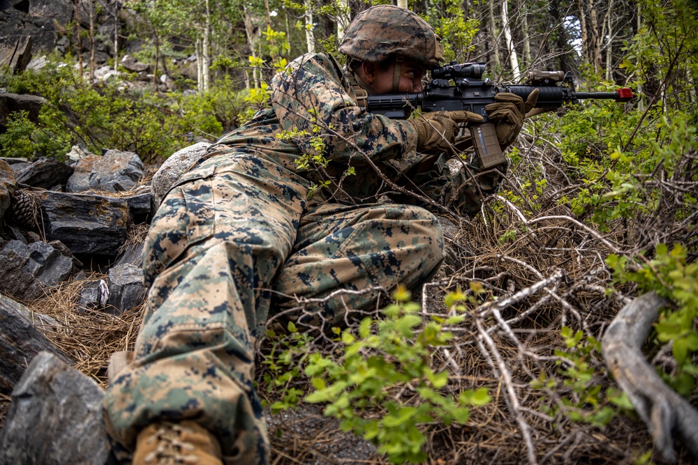 MTX 4-23: Marines with 2nd Battalion, 23d Marine Regiment, conduct the final exercise of MTX at Mountain Warfare Training Center