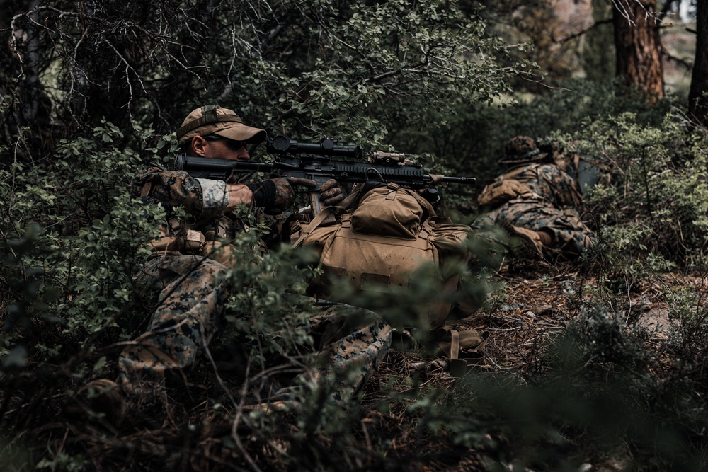 4th Reconnaissance Battalion patrols during Mountain Exercise 4-23