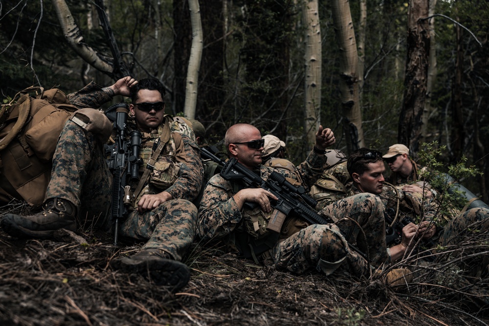 4th Reconnaissance Battalion patrols during Mountain Exercise 4-23