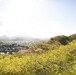 MCBH leadership and Hawaii state representatives visit MCTAB fence line project