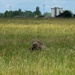 100th SFS performs small unit tactics training
