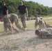 1-134th Cavalry Squadron conducts a Spur Ride in South Korea