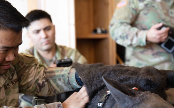 Effects and enablers team create real-world training during Global Medic exercise.