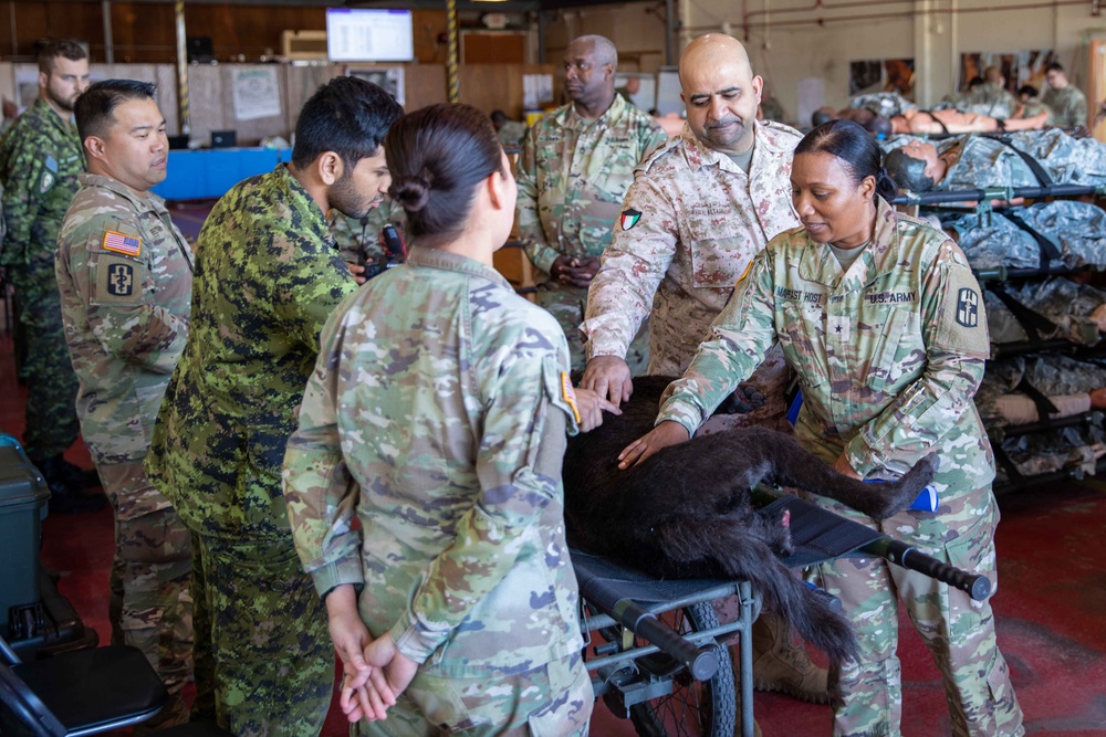 Effects and enablers team create real-world training during Global Medic exercise.