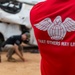 Guardian Angels hone their skills in joint personnel recovery exercise