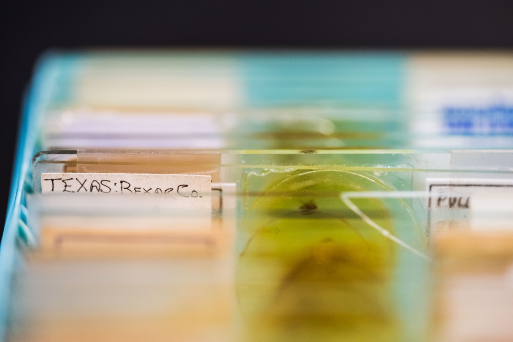Entomology Lab