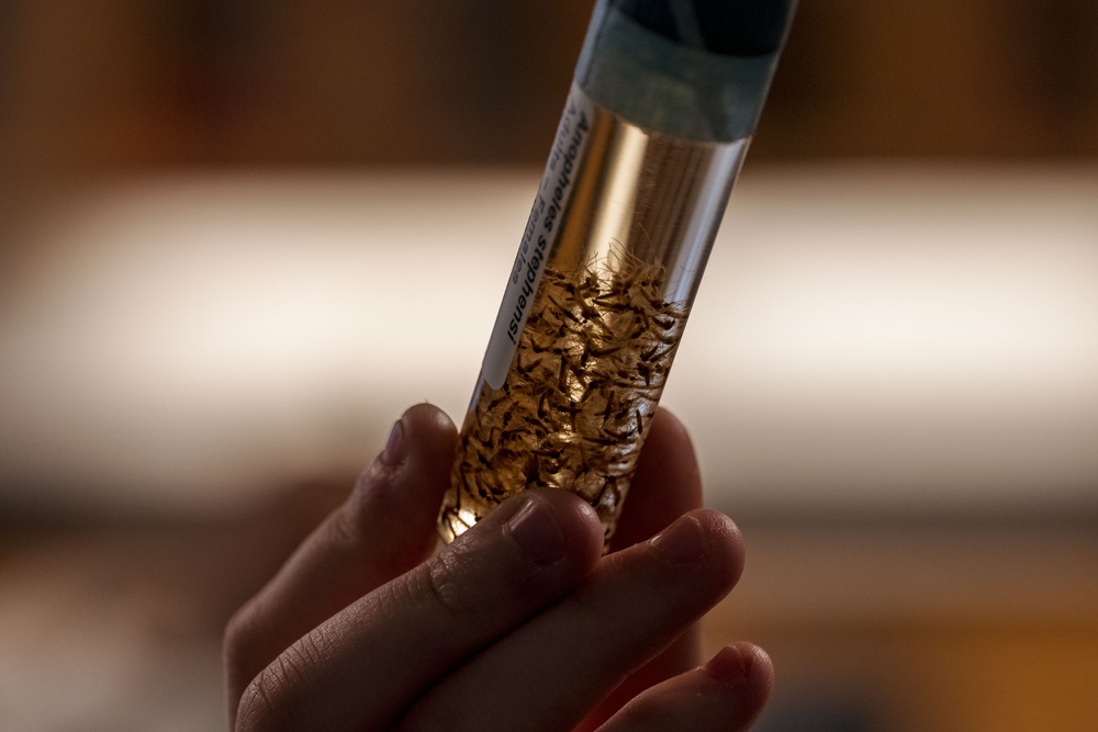 Entomology Lab