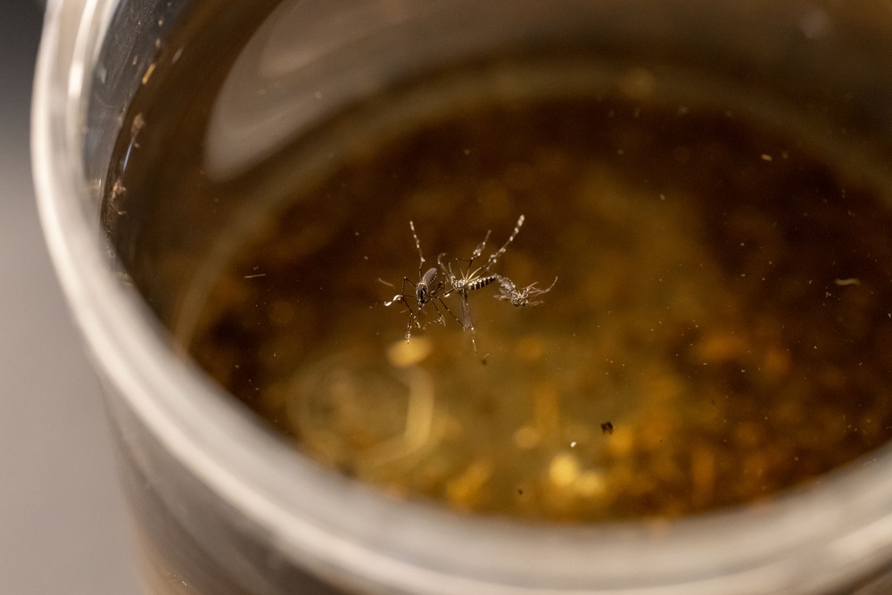 Entomology Lab