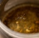Entomology Lab