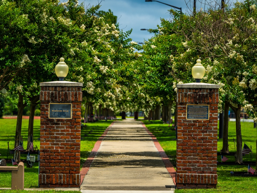 Warriors Walk Crape Myrtles in Bloom