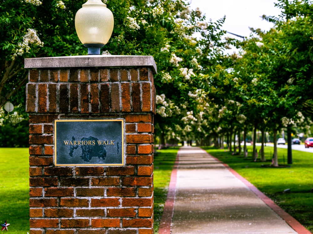 Warriors Walk Crape Myrtles in Bloom