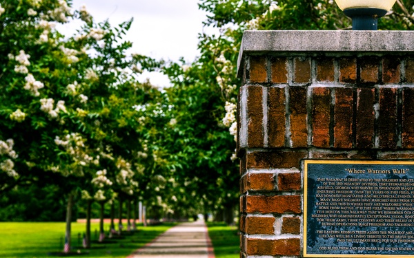 Warriors Walk Crape Myrtles in Bloom