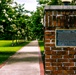 Warriors Walk Crape Myrtles in Bloom