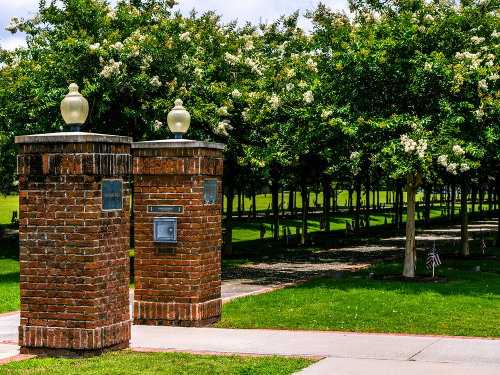 Warriors Walk Crape Myrtles in Bloom