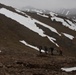 2-75th Ranger Regiment Alaskan Wilderness Training