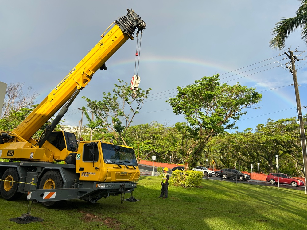 Generator Install