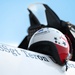 The Thunderbirds visit Scott AFB