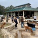 576th Flight Test Squadron sponsor TOP DOG