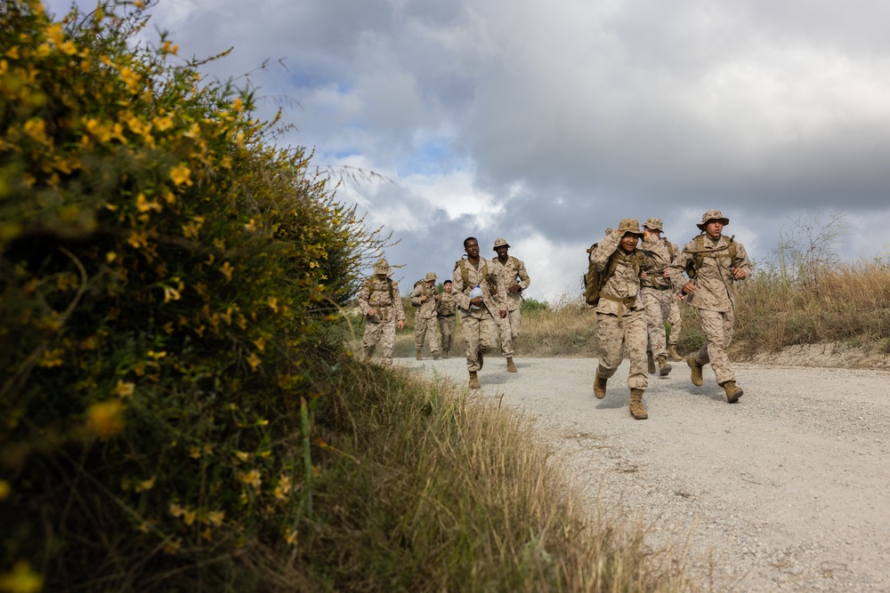 2nd Bn., 11th Marines builds camaraderie during Patriot Challenge