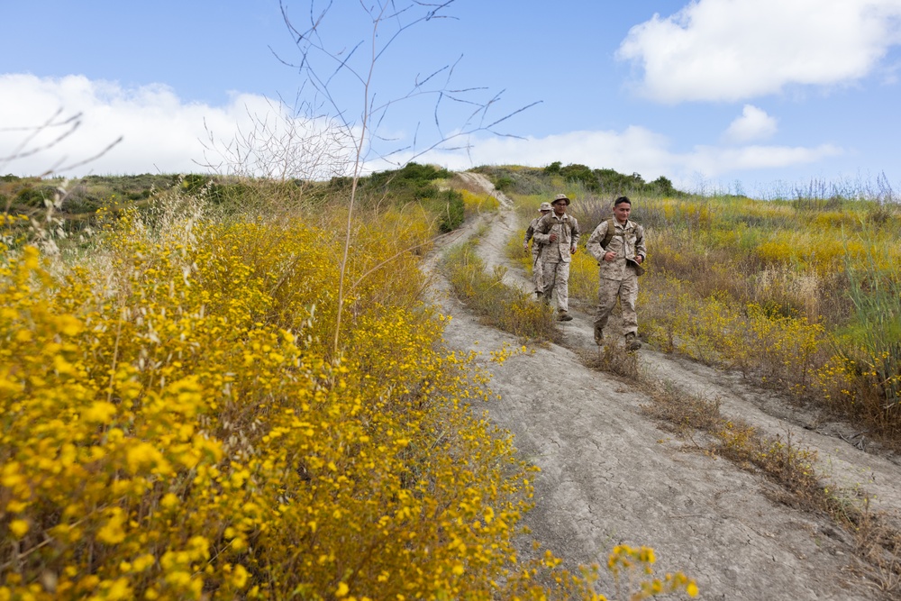 2nd Bn., 11th Marines builds camaraderie during Patriot Challenge