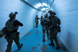 US Special Forces partner with Bosnian SIPA for Joint Combined Exchange Training