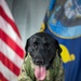 Camp Lemonnier's MWD's Security Department Pose for Portraits