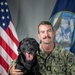 Camp Lemonnier's MWD's Security Department Pose for Portraits
