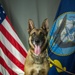 Camp Lemonnier's MWD's Security Department Pose for Portraits