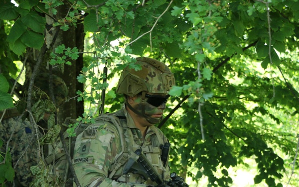 Through the woods