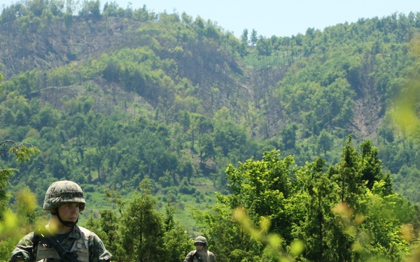 Green hills