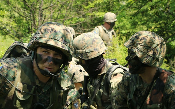 AFBiH on patrol