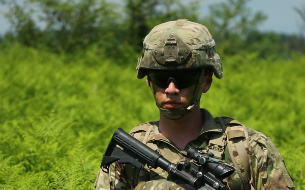 M4 and ferns