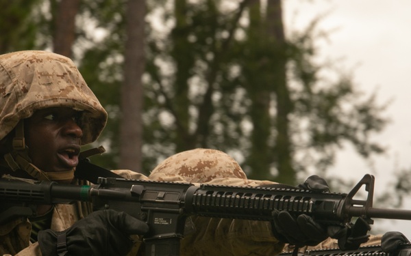 I'm up! They see me! I'm down!