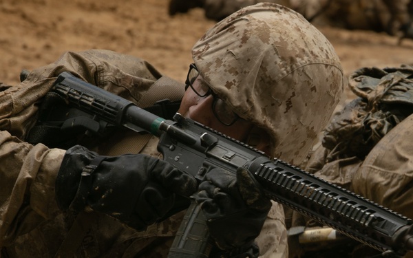 I'm up! They see me! I'm down!