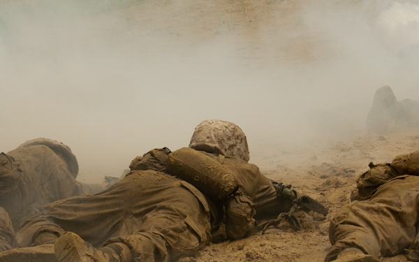 I'm up! They see me! I'm down!