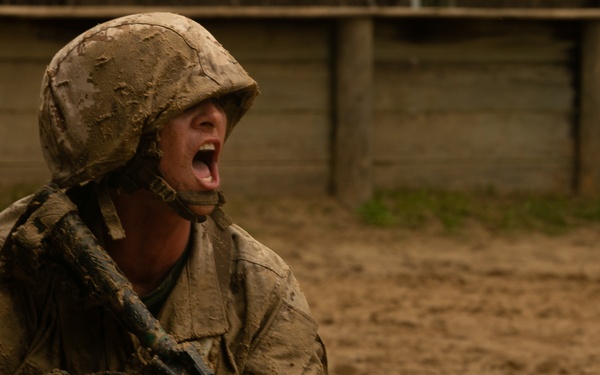 I'm up! They see me! I'm down!