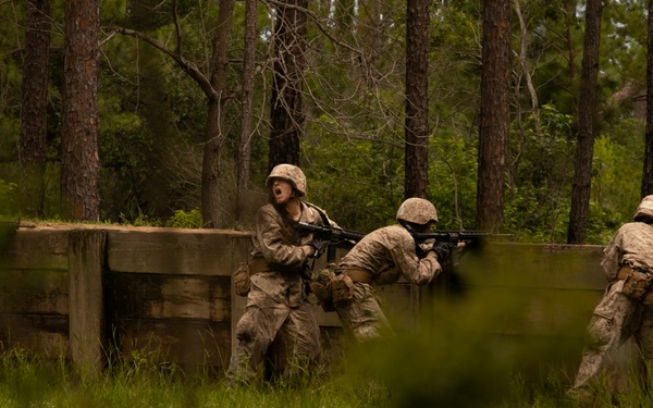 I'm up! They see me! I'm down!