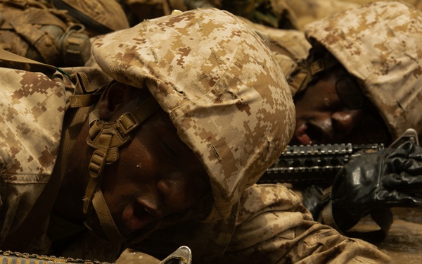 I'm up! They see me! I'm down!