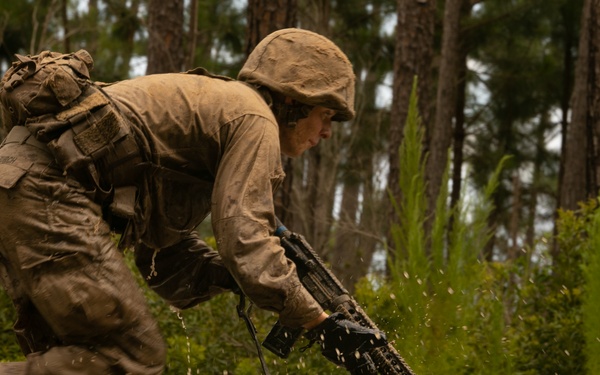 I'm up! They see me! I'm down!