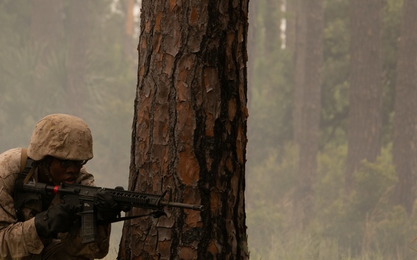 I'm up! They see me! I'm down!